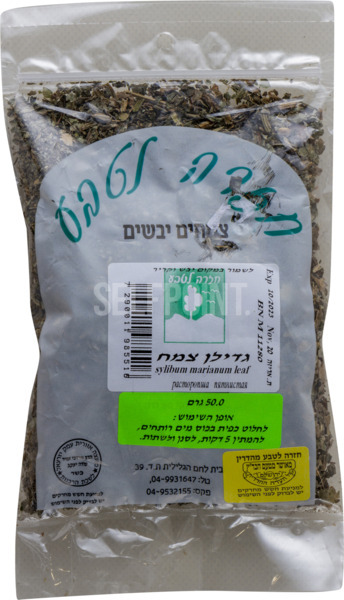 צמחים יבשים גדילן צמח