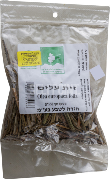 זית עלים