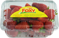 Strawberries, Foxy 16oz