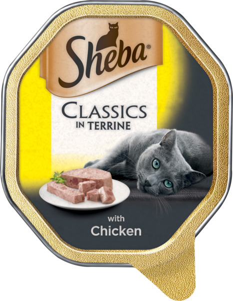 מזון לחתולים פטה עוף