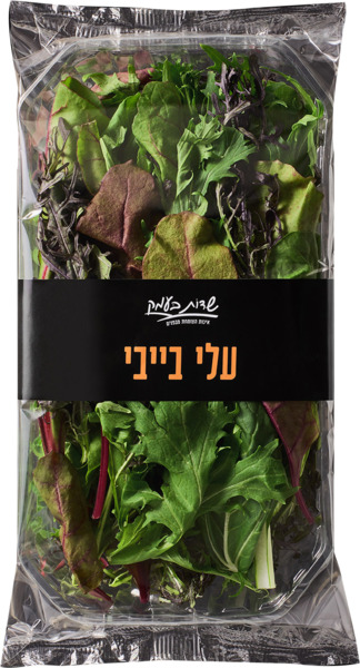 עלי בייבי שדות בעמק