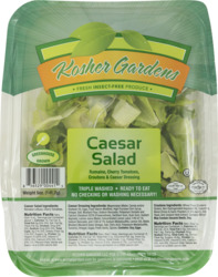 Postiv Romaine16z