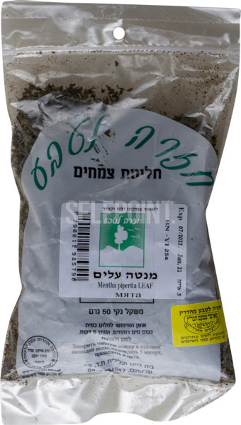 חליטות צמחים מנטה עלים