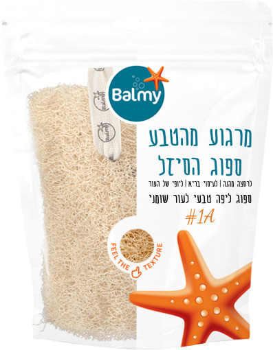 ספוג לפנים