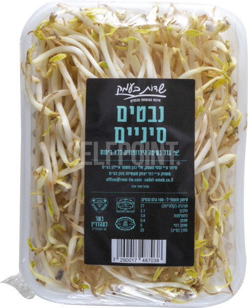 נבטים סינים שדות בעמ