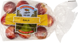 Apple Bags, Gala