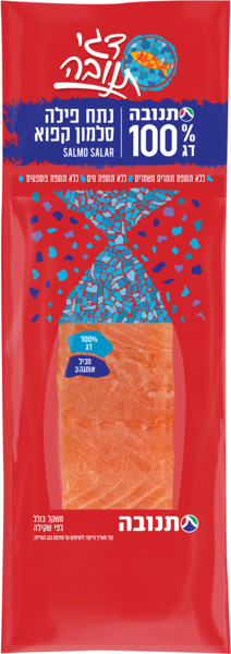 נתח פילה סלמון קפוא