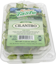 Fresh Cilantro