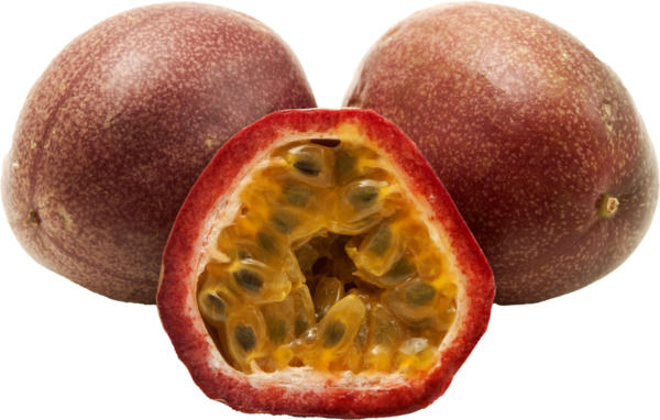 פסיפלורה במגשית