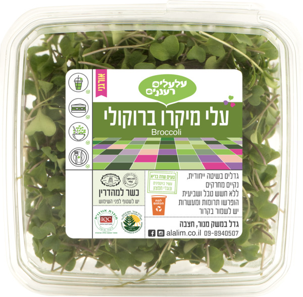 מיקרו ברוקולי