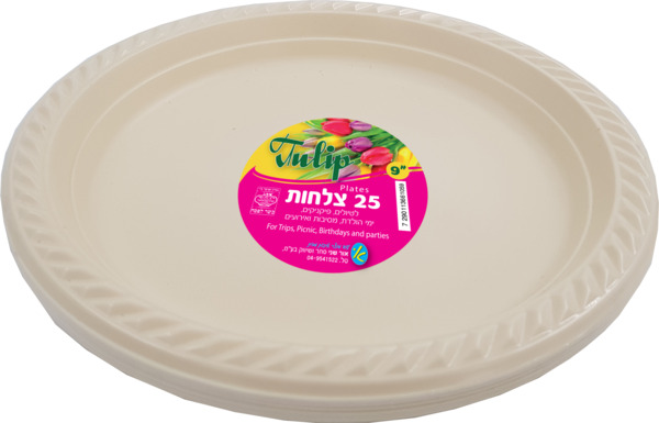 צלחות גדולות צבעוני