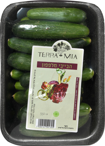 תערובת מלפפונים ועגב