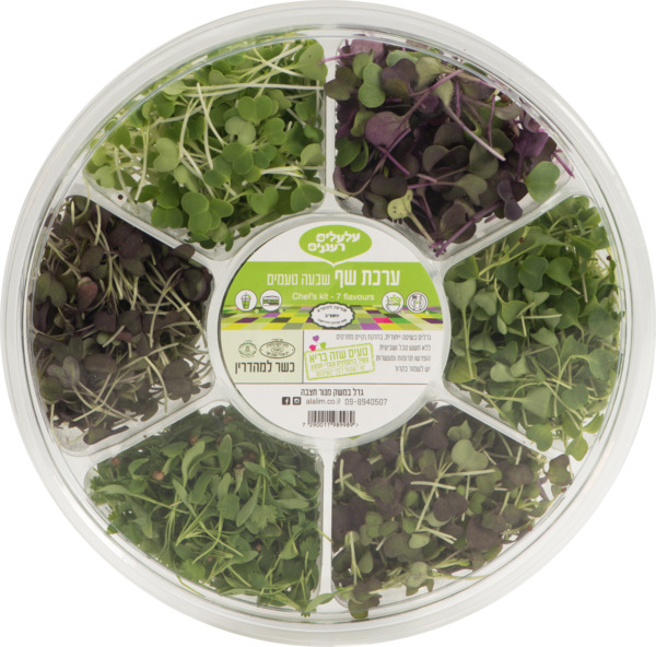 עלי מיקרו גלגל 7 תאי