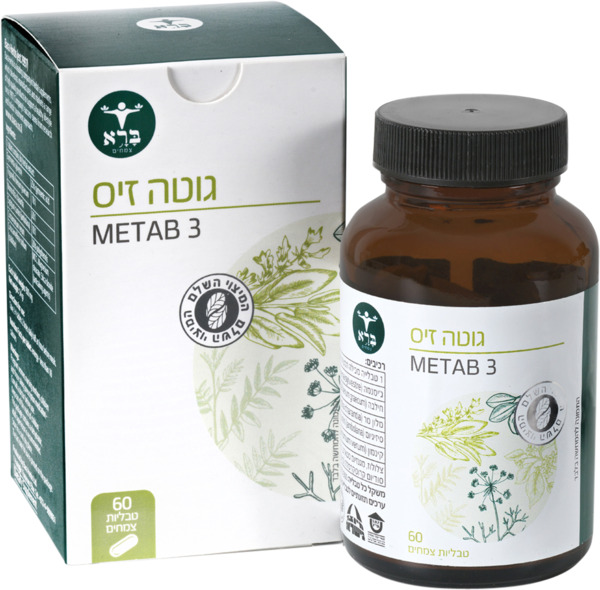 גוטה זיס