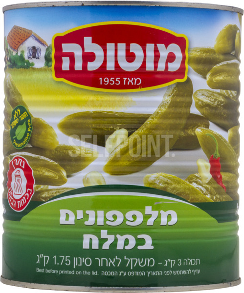 מלפפון במלח 30-36