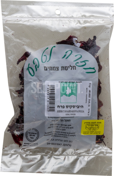 חליטת צמחים היביסקוס פרח
