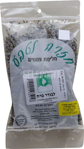 חליטת צמחים לבנדר פרח