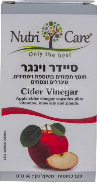 סיידר גינגר חומץ תפוחים 120 כמוסות
