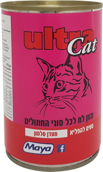 מעדן סלמון לחתול