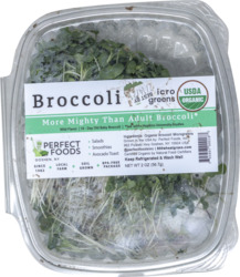 Organic Broccoli Microgreens