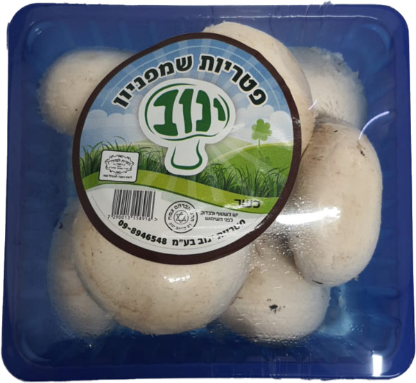 פטריות שמפניון