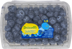 Blueberries Limited Edition