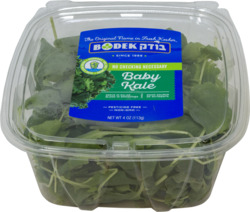 Baby Kale