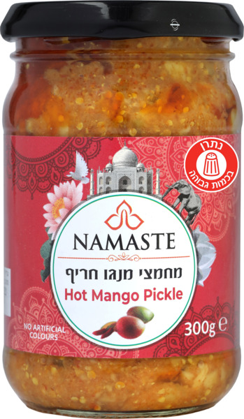מחמצי ראגה צאטני מנג