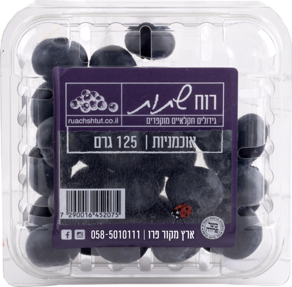 אוכמניות יבוא 125 גר