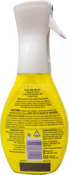 Mr Clean Freak Lemon 16Z 2