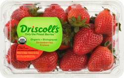 Strawberries, Driscolls