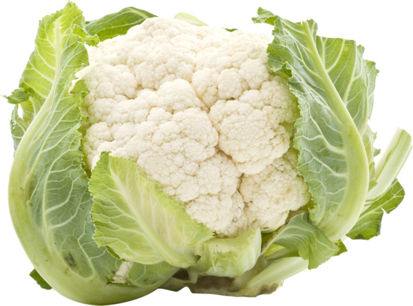 גבינה פקורינו גורמה