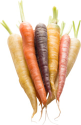 Carrots, Rainbow