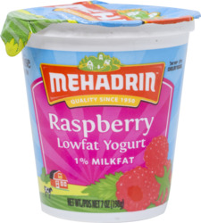 Low Fat Raspberry Yogurt