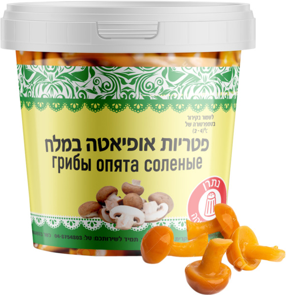 פטריות אופיאטה במלח