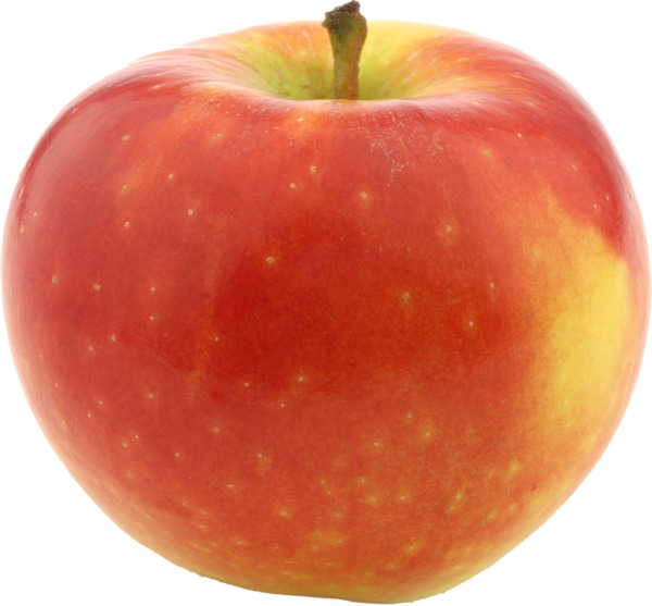 Kanzi Apples Cherry Hill Gourmet