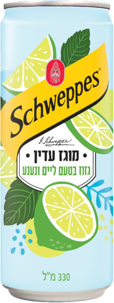 מוגז עדין גזוז בטעם ליים ונענע