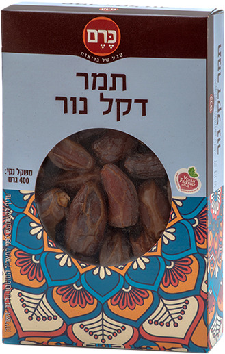 תמר דקל נור