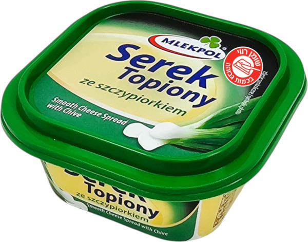 גבינה מותכת טפיאוני עם בצל