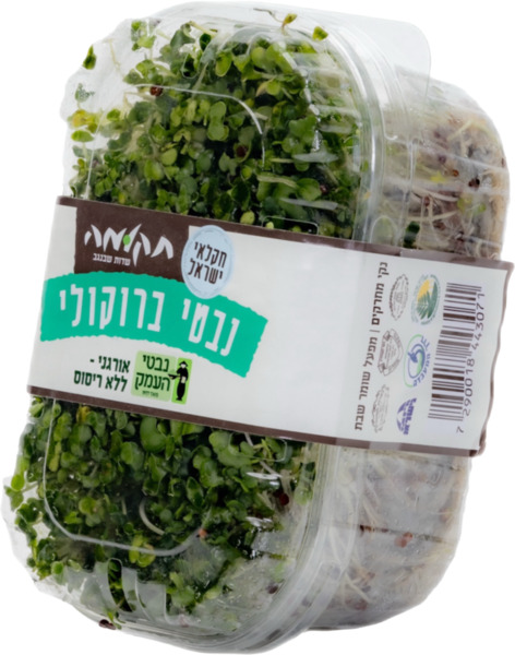 מיקס נבטי ברוקולי וצנונית