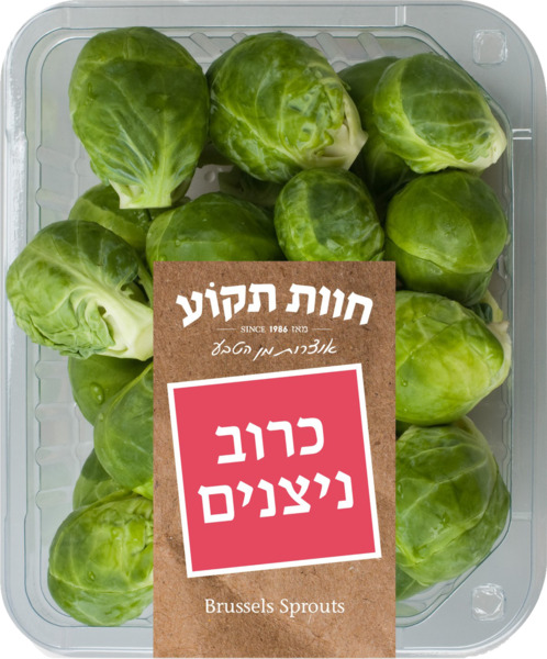 כרוב ניצנים ארוז חוו