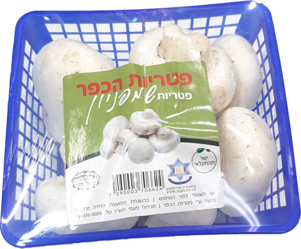 פטריות שמפיניון