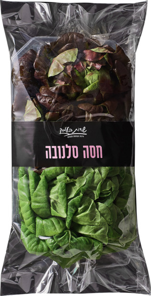 חסה סלנובה שדות בעמק