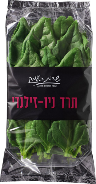 תרד ניו זילנדי נספק