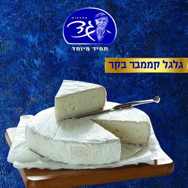 גבינת קממבר בקר 25%