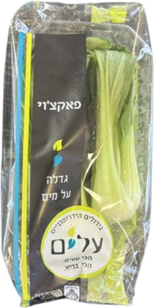 פאקצוי הידרופוני `עלים` תו הכסף