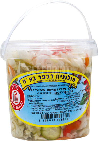 סלט חמוצים במרינד