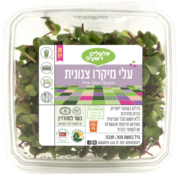 סלט גורמה  על עלים