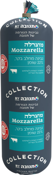 גבינת מוצרלה 22% תנו