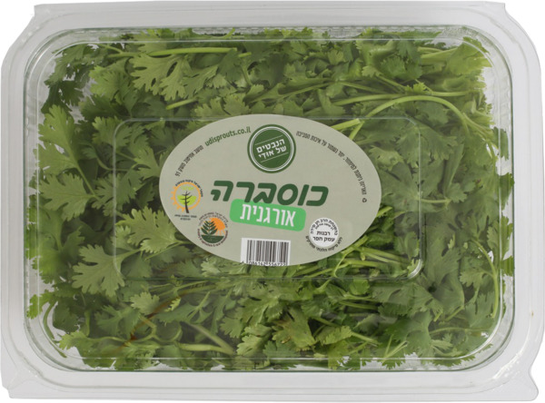 כוסברה אורגנית